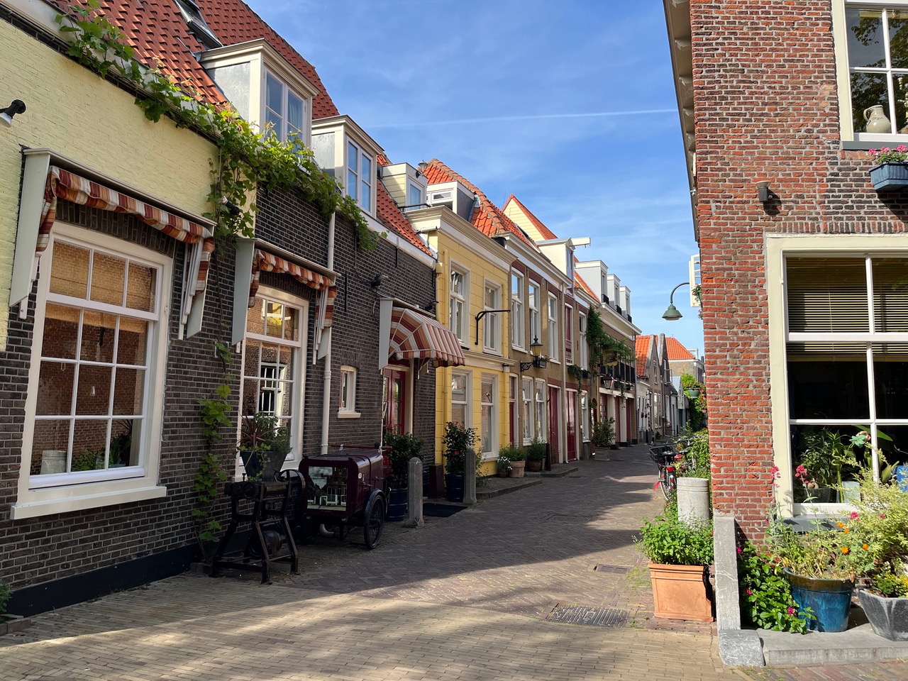 Delft street in springtime