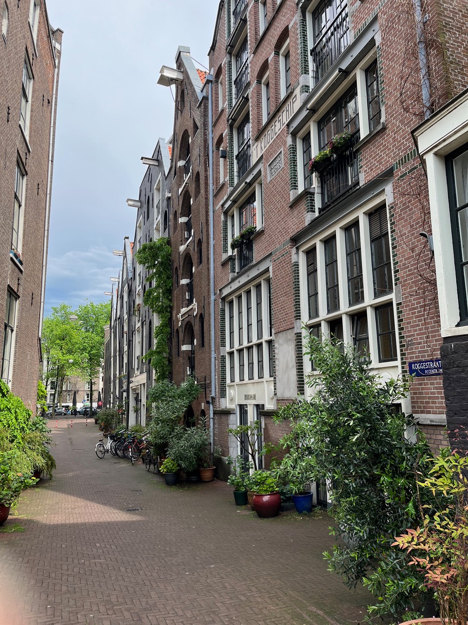 Amsterdam street springtime
