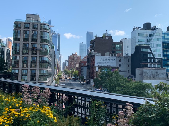 railing of the Highline and accompanying flowers with New York buildings in the background