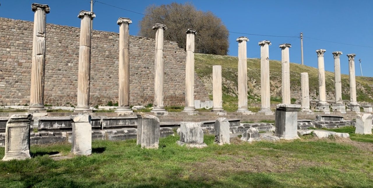 line of grooved Roman columns