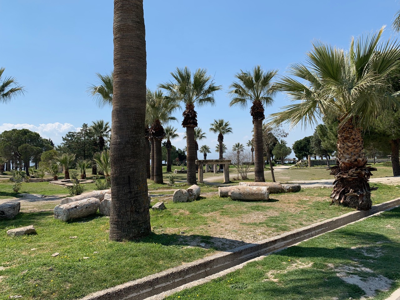 Palms trees with the remnants of columns lying among them