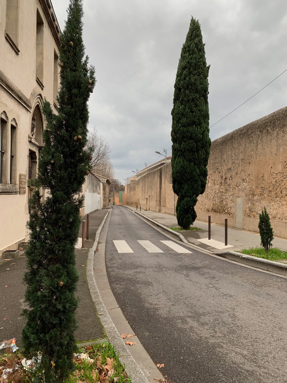 A narrow street in Aix with sandstone buildings and tall, narrow, trees