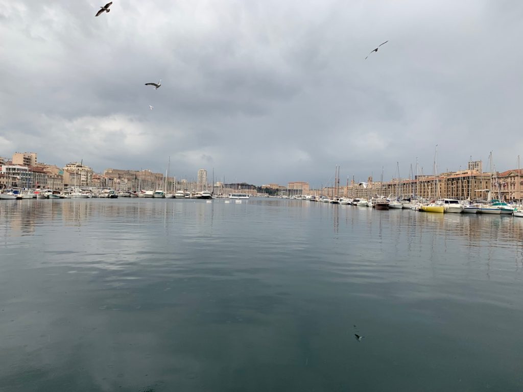 expanse of water rimmed by boats and buildings with seagulls winging above