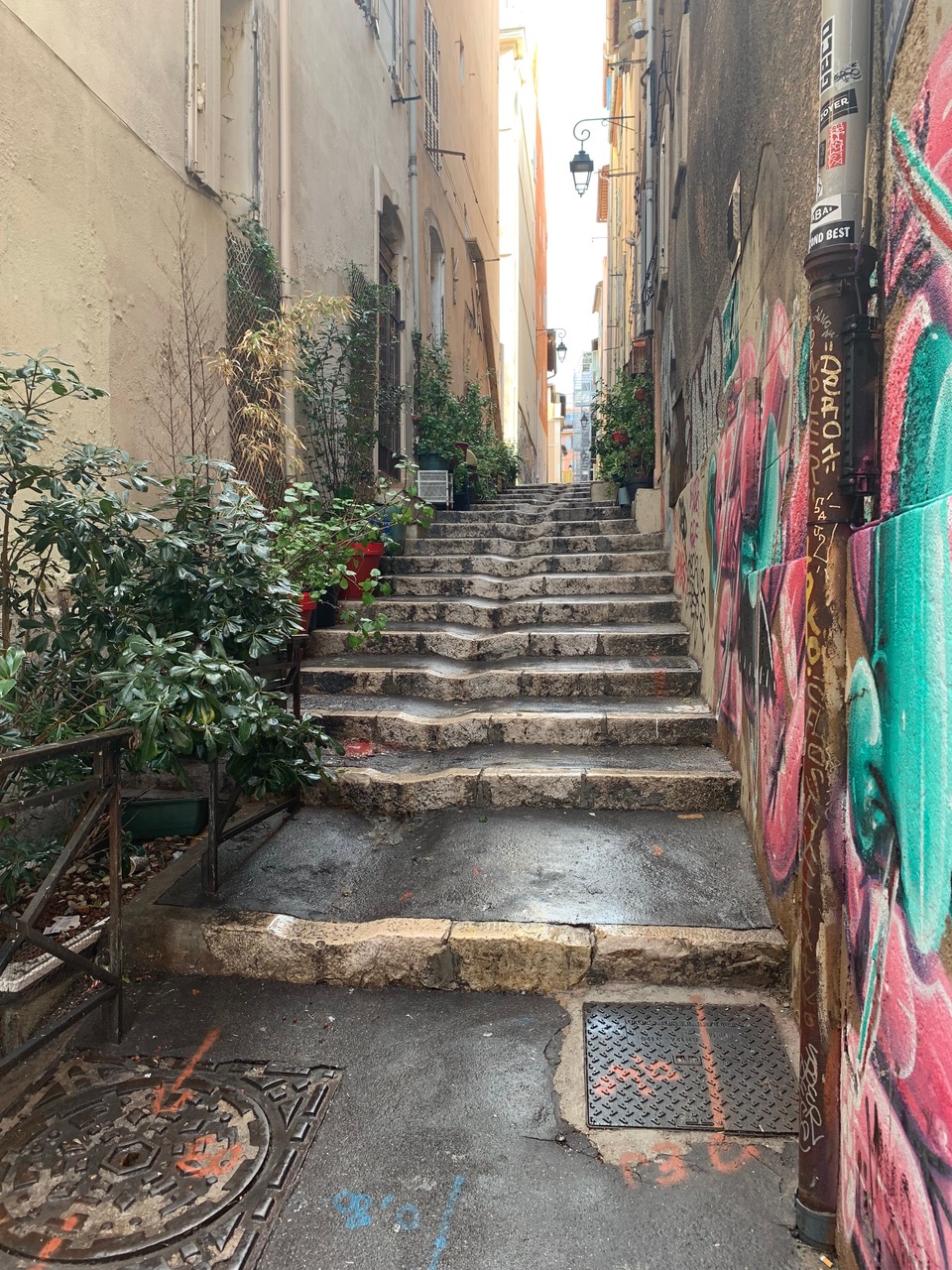 A narrow street with steps rising painted with street art on one side and rows of potted plants on the other