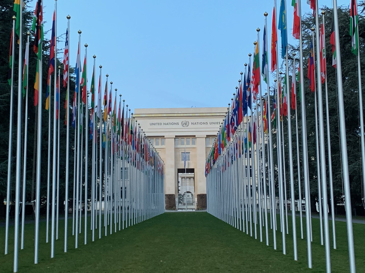 Rows of flags leading to the United Nations buidling