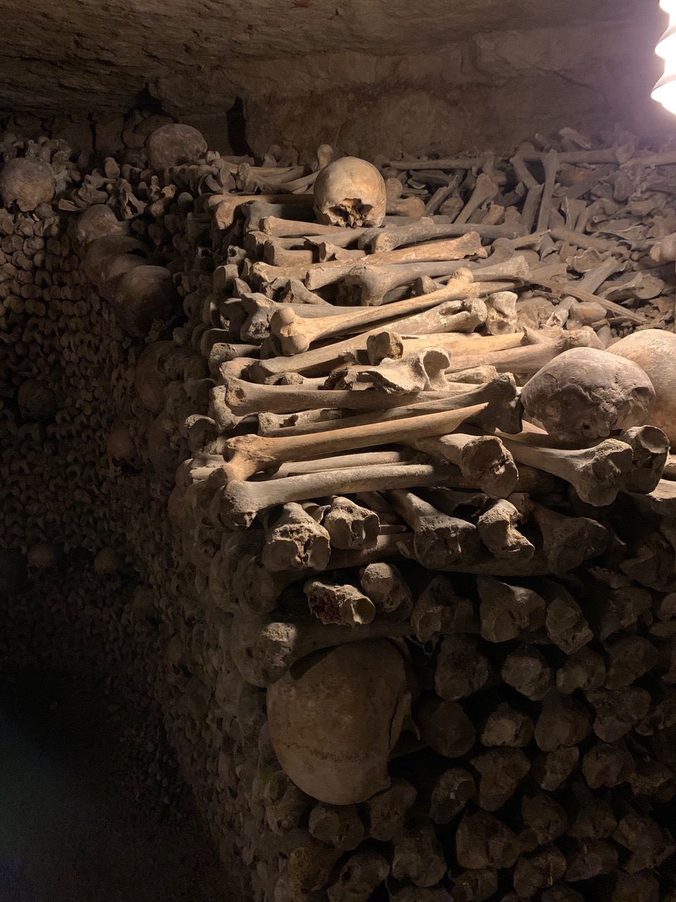 Pile of leg bones and skulls