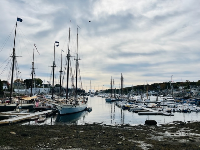 Sailboats on the water under a cloudy sky