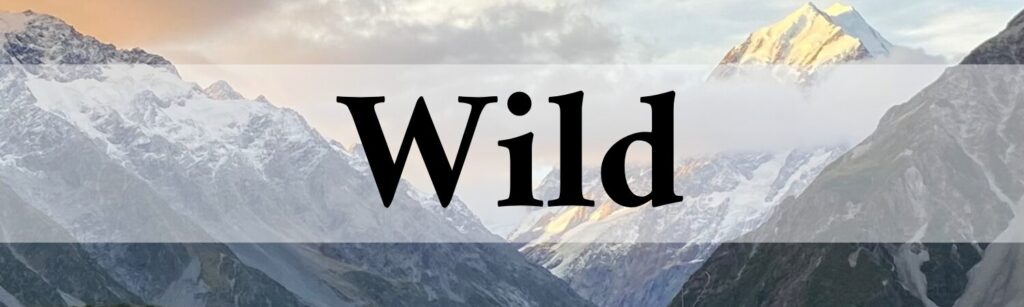 snowy mountain peak with orange sunset sky overlaid with black text and the word wild